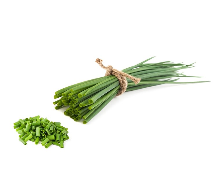 Ein Bund frischer Schnittlauch, zusammengebunden mit einer Juteschnur, liegt neben geschnittenem Schnittlauch in kleinen Stückchen. Die Farben sind lebhaft grün, auf einem weißen Hintergrund.